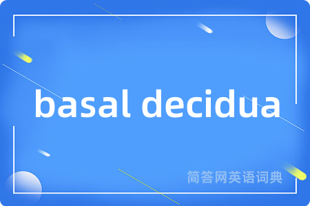 basal decidua