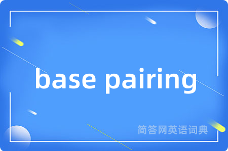 base pairing