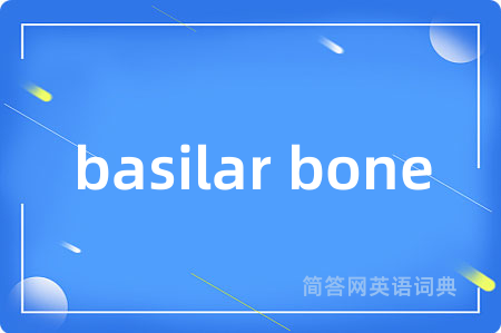 basilar bone