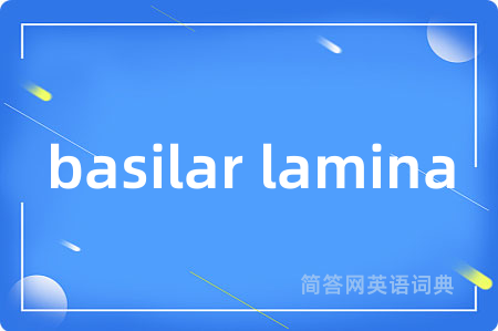 basilar lamina