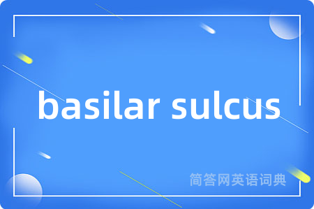 basilar sulcus