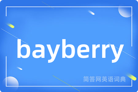 bayberry