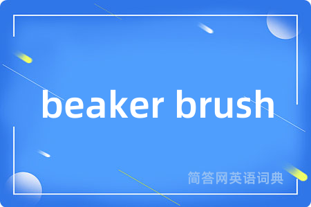 beaker brush
