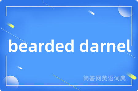 bearded darnel
