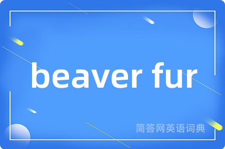 beaver fur