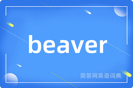 beaver