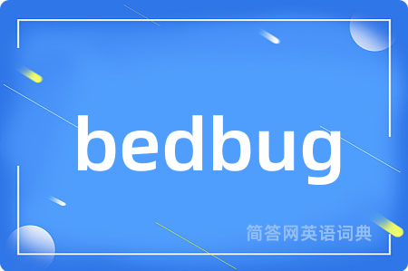 bedbug