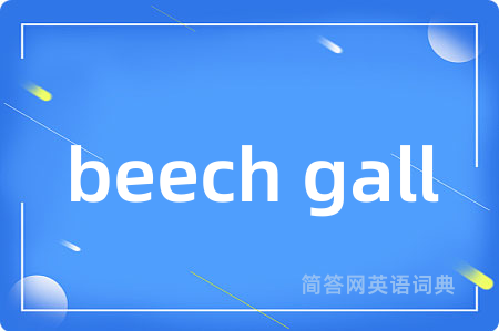 beech gall