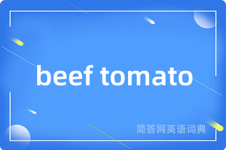 beef tomato