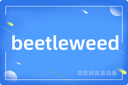 beetleweed
