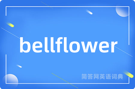 bellflower