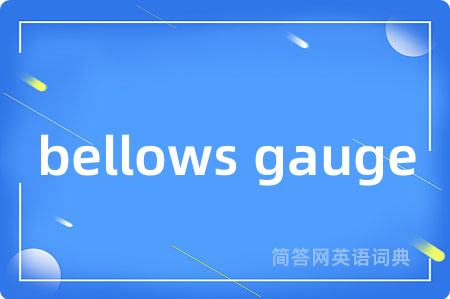 bellows gauge