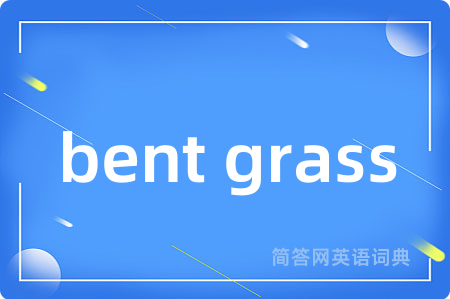 bent grass