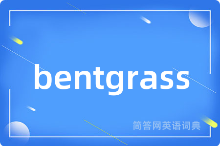 bentgrass