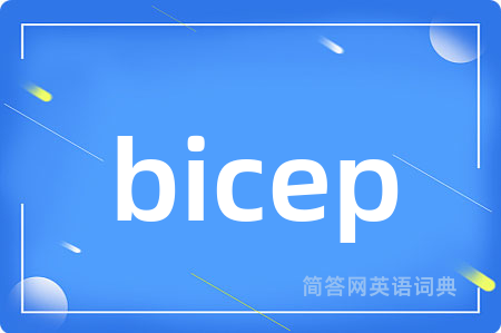 bicep