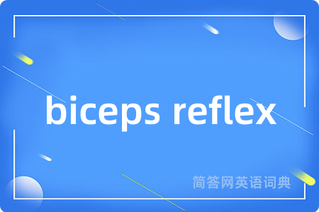 biceps reflex