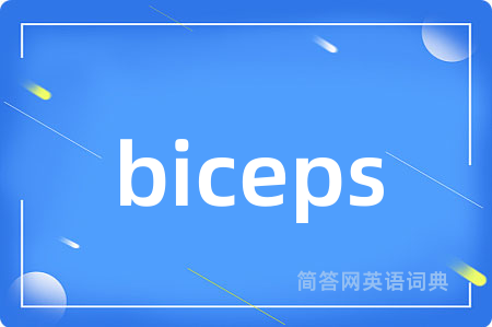 biceps