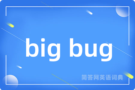 big bug