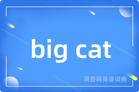 big cat