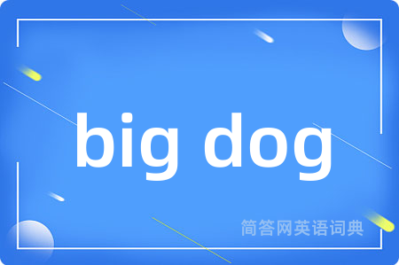 big dog