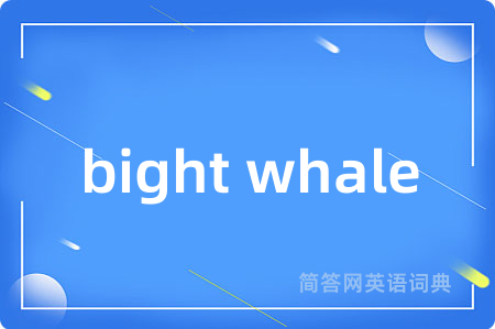 bight whale