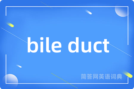 bile duct是什么意思,bile duct的中文翻译 bile duct