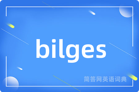bilges是什么意思,bilges的中文翻译 bilges