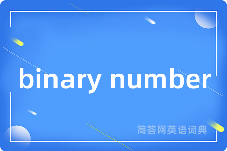 binary number是什么意思,binary number的中文翻译 binary number