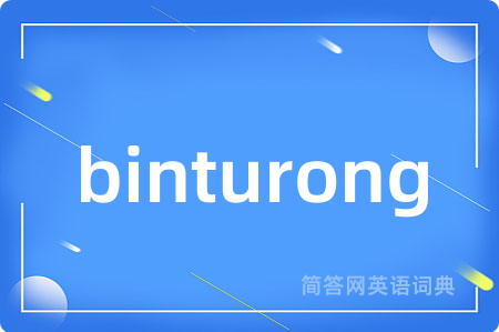 binturong