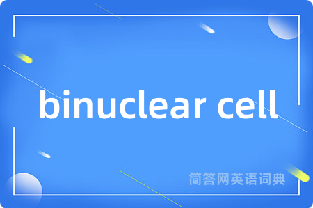 binuclear cell