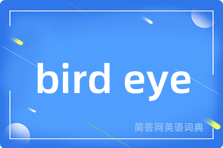bird eye