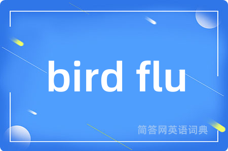 bird flu
