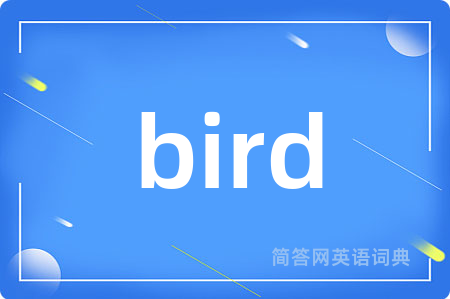 bird
