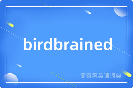 birdbrained