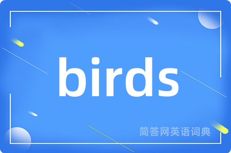 birds是什么意思,birds的中文翻译 birds