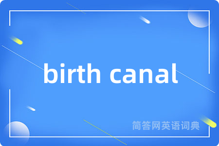 birth canal是什么意思,birth canal的中文翻译 birth canal