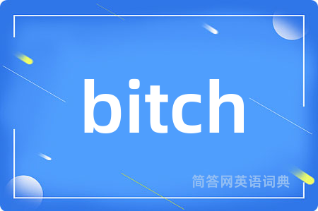 bitch