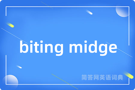 biting midge