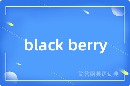black berry是什么意思,black berry的中文翻译 black berry