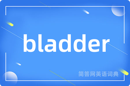 bladder