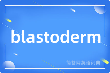 blastoderm