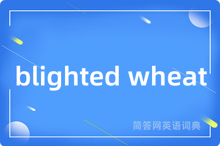 blighted wheat