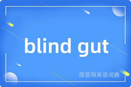 blind gut