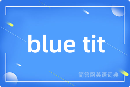 blue tit