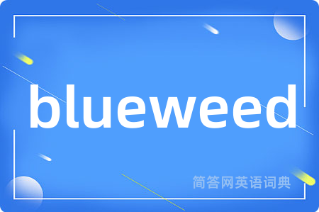 blueweed