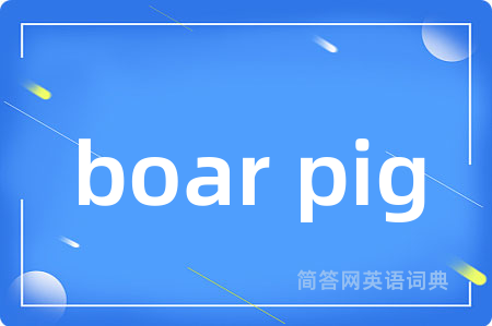 boar pig是什么意思,boar pig的中文翻译 boar pig