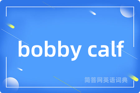 bobby calf