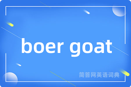 boer goat