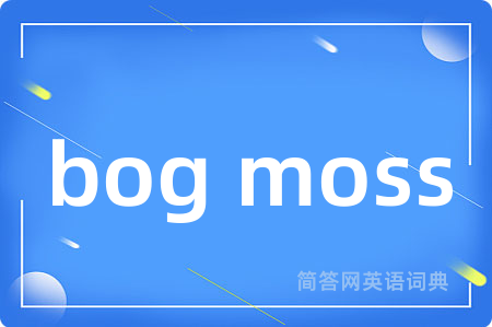 bog moss
