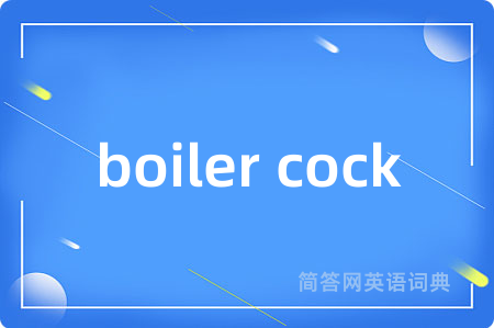 boiler cock